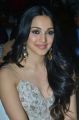 Telugu Actress Kiara Advani @ Vinaya Vidheya Rama Pre Release Event Images