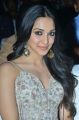 Actress Kiara Advani Hot Images @ Vinaya Vidheya Rama Pre Release