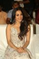 Actress Kiara Advani Images @ Vinaya Vidheya Rama Pre Release