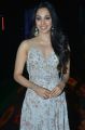 Actress Kiara Advani Images @ Vinaya Vidheya Rama Pre Release