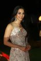 Actress Kiara Advani Images @ Vinaya Vidheya Rama Pre Release