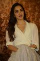 Actress Kiara Advani Latest Stills @ Bharat Ane Nenu Success Meet