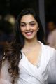 Actress Kiara Advani Latest Stills @ Bharat Ane Nenu Success Meet