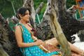 Actress Ramya in Kicha Movie Stills