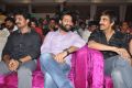 Kick 2 Audio Launch Function Stills