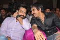 NTR, Ravi Teja @ Kick 2 Audio Launch Function Stills