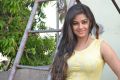 Actress Meera Chopra at Killadi Movie Press Meet Stills