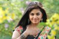 Actress Meera Chopra in Killadi Tamil Movie Stills