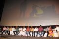 Kirumi Movie Audio Launch Photos