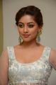 Actress Anu Emmanuel @ Kittu Unnadu Jagratha Gummadikaya Function Stills