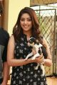 Heroine Anu Emmanuel in Kittu Unnadu Jagratha Movie New Photos