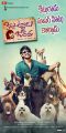 Actor Raj Tarun in Kittu Unnadu Jagratha Movie Super Hit Posters