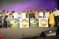 Kochadaiyaan Audio Launch Stills