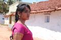 Actress Sahana in Kokkira Kulam Tamil Movie Stills