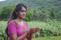 Actress Sahana in Kokkira Kulam Tamil Movie Stills