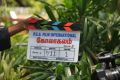 Kolakalam Tamil Movie Shooting Spot Stills