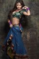 Actress Komal Jha Hot Photo Shoot Stills