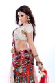 Telugu Actress Komal Jha Hot Photo Shoot Stills