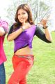 Telugu Actress Komal Jha Hot Photos in Eduruleni Alexander