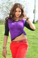 Telugu Actress Komal Jha Hot Stills