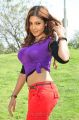 Actress Komal Jha Hot Photos in Eduruleni Alexander Movie