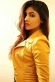 Telugu Actress Komal Jha Hot Photoshoot Photos