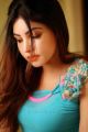 Telugu Actress Komal Jha Hot Photoshoot Photos