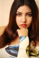 Telugu Actress Komal Jha Hot Photoshoot Photos