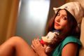 Telugu Actress Komal Jha Hot Photoshoot Photos