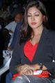 Actress Komal Jha Latest Stills in Women Black Blazer