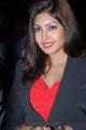 Actress Komal Jha Latest Stills in Women Black Blazer