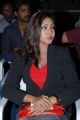 Telugu Actress Komal Jha in Women Black Blazer Stills