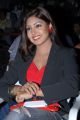 Actress Komal Jha Latest Hot Stills in Women Black Blazer