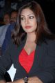 Actress Komal Jha Latest Stills in Women Black Blazer