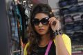 Actress Komal Jha New Stills in Billa Ranga