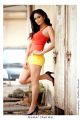 Tamil Actress Komal Sharma Spicy Hot Photo Shoot Pics
