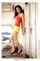 Tamil Actress Komal Sharma Hot Photo Shoot Pics
