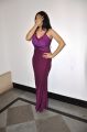 Actress Komal Sharma Hot Photos in Pink Long Dress