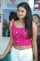 Konjum Mainakkale Actress Mohanapriya Hot Stills