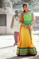 Kotha Janta Heroine Regina Cassandra Stills