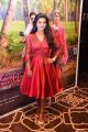 Kousalya Krishnamurthy Audio Release Photos