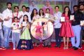 Kousalya Krishnamurthy Audio Release Photos