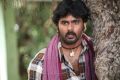 Actor Ashok in Kozhi Koovuthu Movie Stills