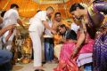 Celebs @ Krish Ramya Wedding Stills