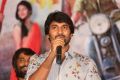 Actor Nani @ Krishna Gaadi Veera Prema Gaadha Press Meet Stills