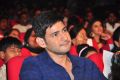 Mahesh Babu @ Krishna Gadi Veera Prema Katha Audio Launch Stills