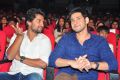 Nani, Mahesh Babu @ Krishna Gadi Veera Prema Katha Audio Launch Stills