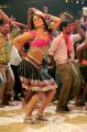 Actress Sameera Reddy Hot Krishnam Vande Jagadgurum Item Song Photos