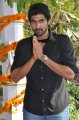 Rana Daggubati @ Krishnam Vande Jagadgurum Opening Pics