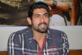 Actor Rana at KVJ Movie Pre-Release Press Meet Stills